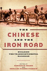 The Chinese and the Iron Road_cover