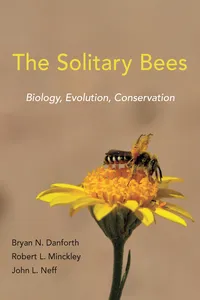 The Solitary Bees_cover