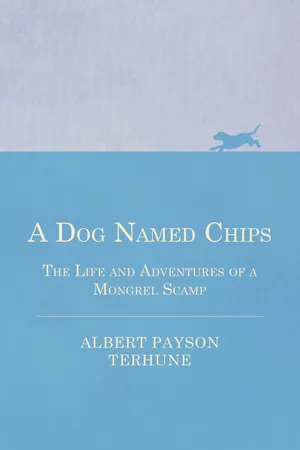 A Dog Named Chips - The Life and Adventures of a Mongrel Scamp