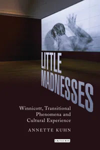 Little Madnesses_cover