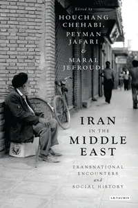 Iran in the Middle East_cover