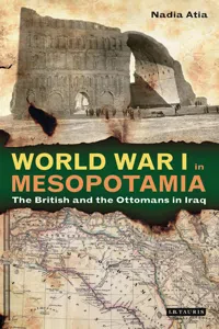 World War I in Mesopotamia_cover