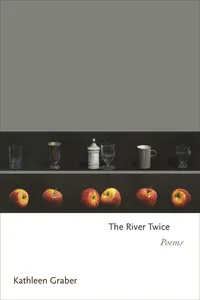 The River Twice_cover