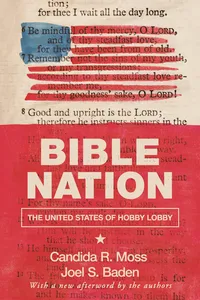 Bible Nation_cover