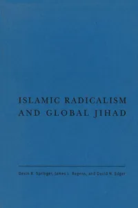 Islamic Radicalism and Global Jihad_cover