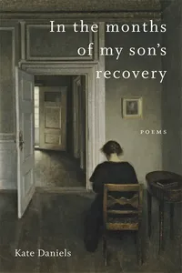 In the Months of My Son's Recovery_cover