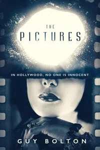 The Pictures_cover