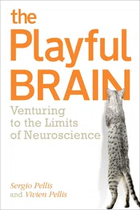 The Playful Brain_cover