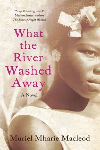 What the River Washed Away_cover