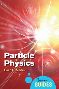 Particle Physics_cover