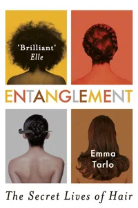 Entanglement_cover