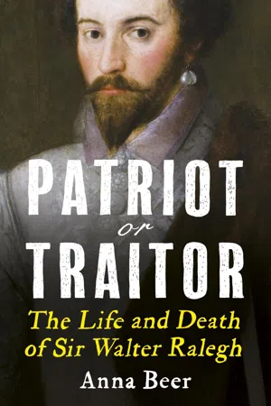 Patriot or Traitor