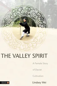 The Valley Spirit_cover