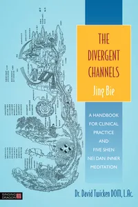 The Divergent Channels - Jing Bie_cover