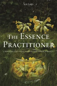 The Essence Practitioner_cover