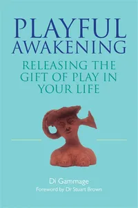 Playful Awakening_cover