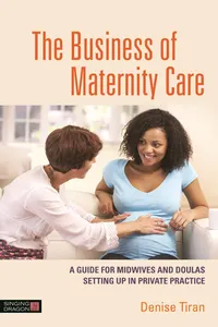 The Business of Maternity Care_cover