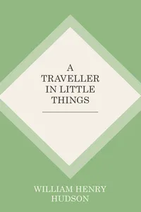 A Traveller in Little Things_cover