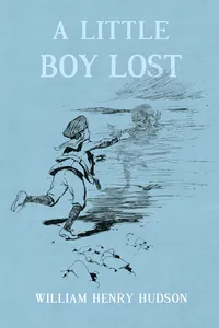 A Little Boy Lost_cover