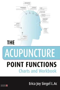 The Acupuncture Point Functions Charts and Workbook_cover