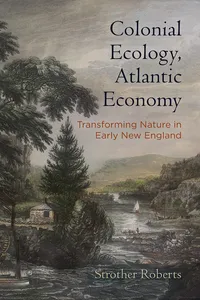 Colonial Ecology, Atlantic Economy_cover