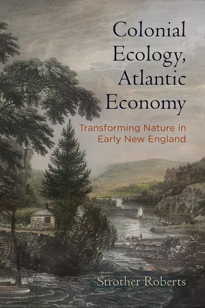 Colonial Ecology, Atlantic Economy