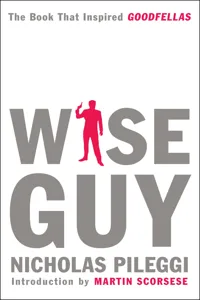 Wiseguy_cover