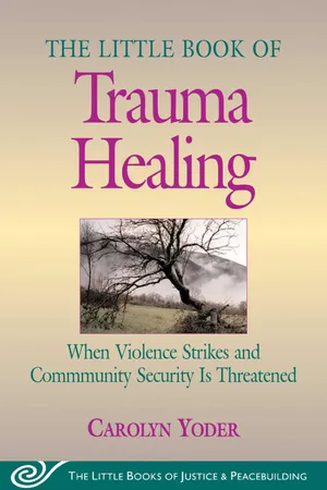 Little Book of Trauma Healing