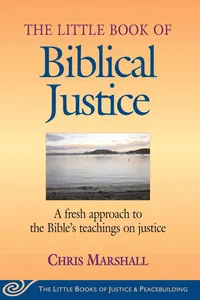 Little Book of Biblical Justice_cover