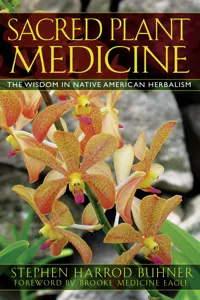 Sacred Plant Medicine_cover