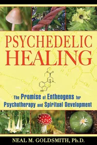 Psychedelic Healing_cover