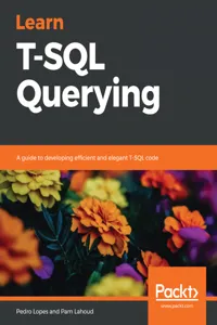 Learn T-SQL Querying_cover