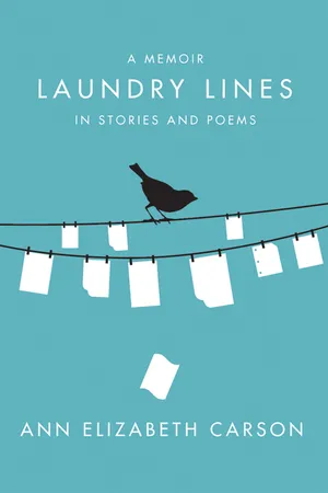 Laundry Lines