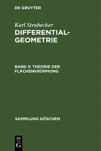 Theorie der Flächenkrümmung_cover