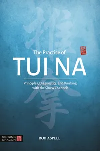 The Practice of Tui Na_cover