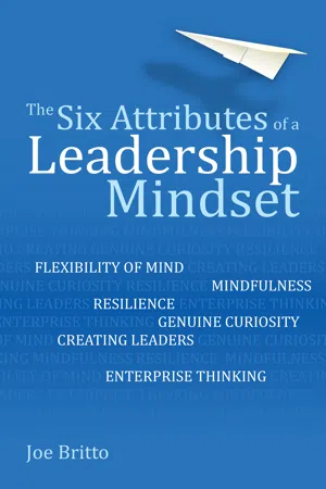 Six Attributes of a Leadership Mindset