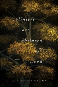 Splinters Are Children of Wood_cover