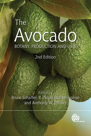 Avocado, The