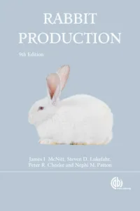 Rabbit Production_cover