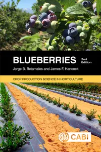 Blueberries_cover