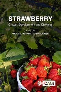 Strawberry_cover