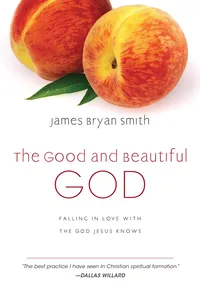 The Good and Beautiful God_cover