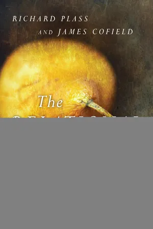 The Relational Soul