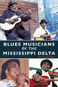 Blues Musicians of the Mississippi Delta_cover