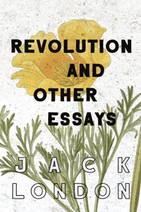 Revolution and Other Essays_cover