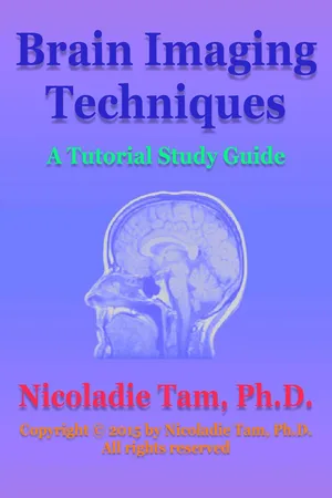 Brain Imaging Techniques: A Tutorial Study Guide