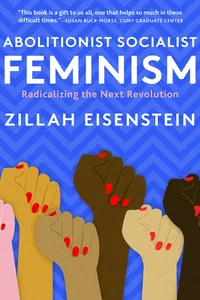 Abolitionist Socialist Feminism_cover