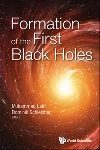 Formation of the First Black Holes_cover