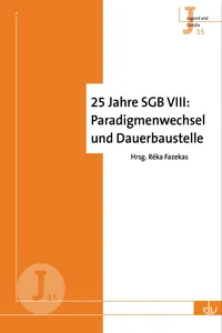 25 Jahre SGB VIII: Paradigmenwechsel und Dauerbaustelle_cover