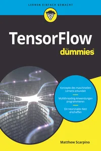 TensorFlow für Dummies_cover